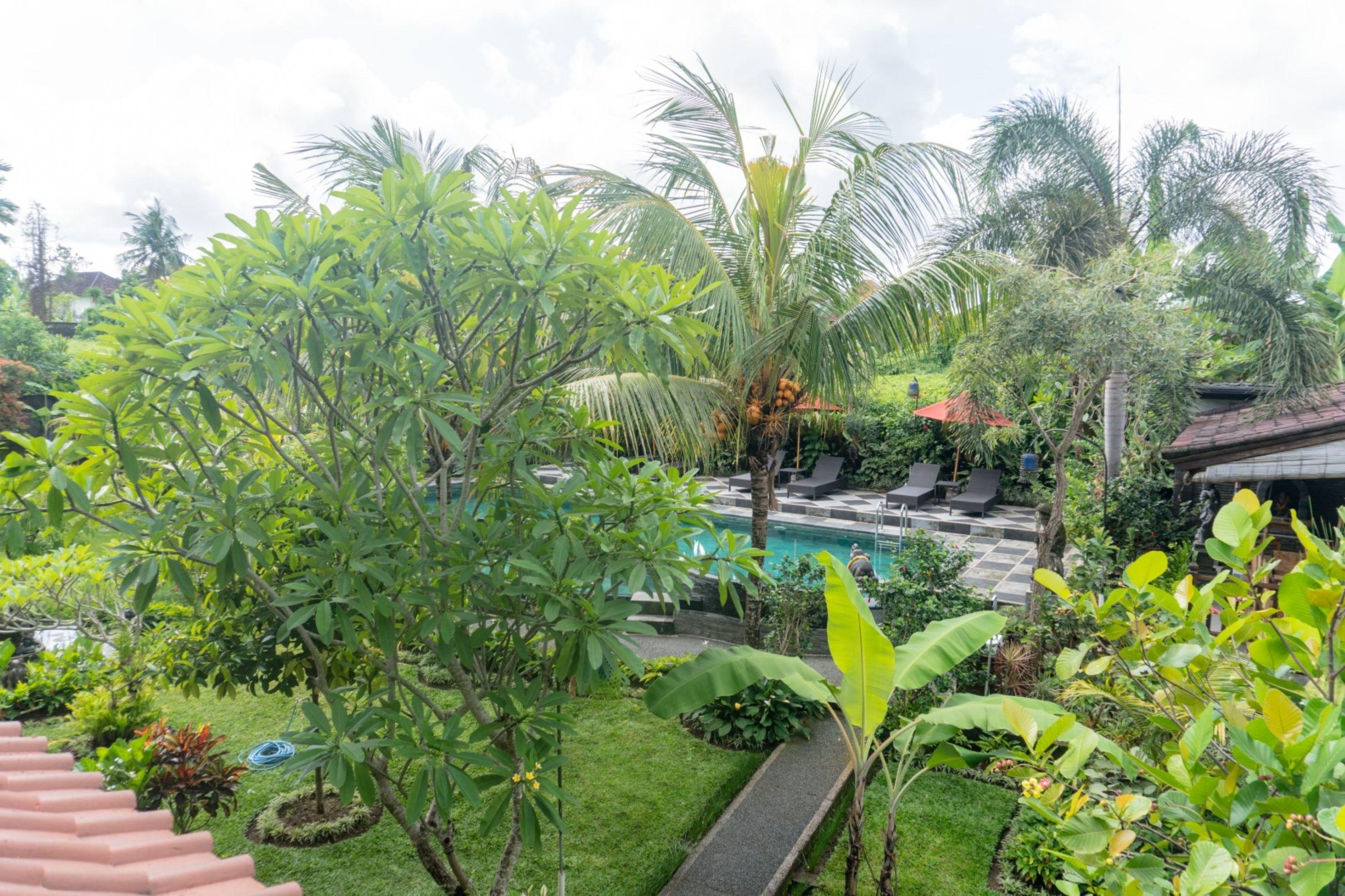 Homestay Bucu Ubud (Bali)