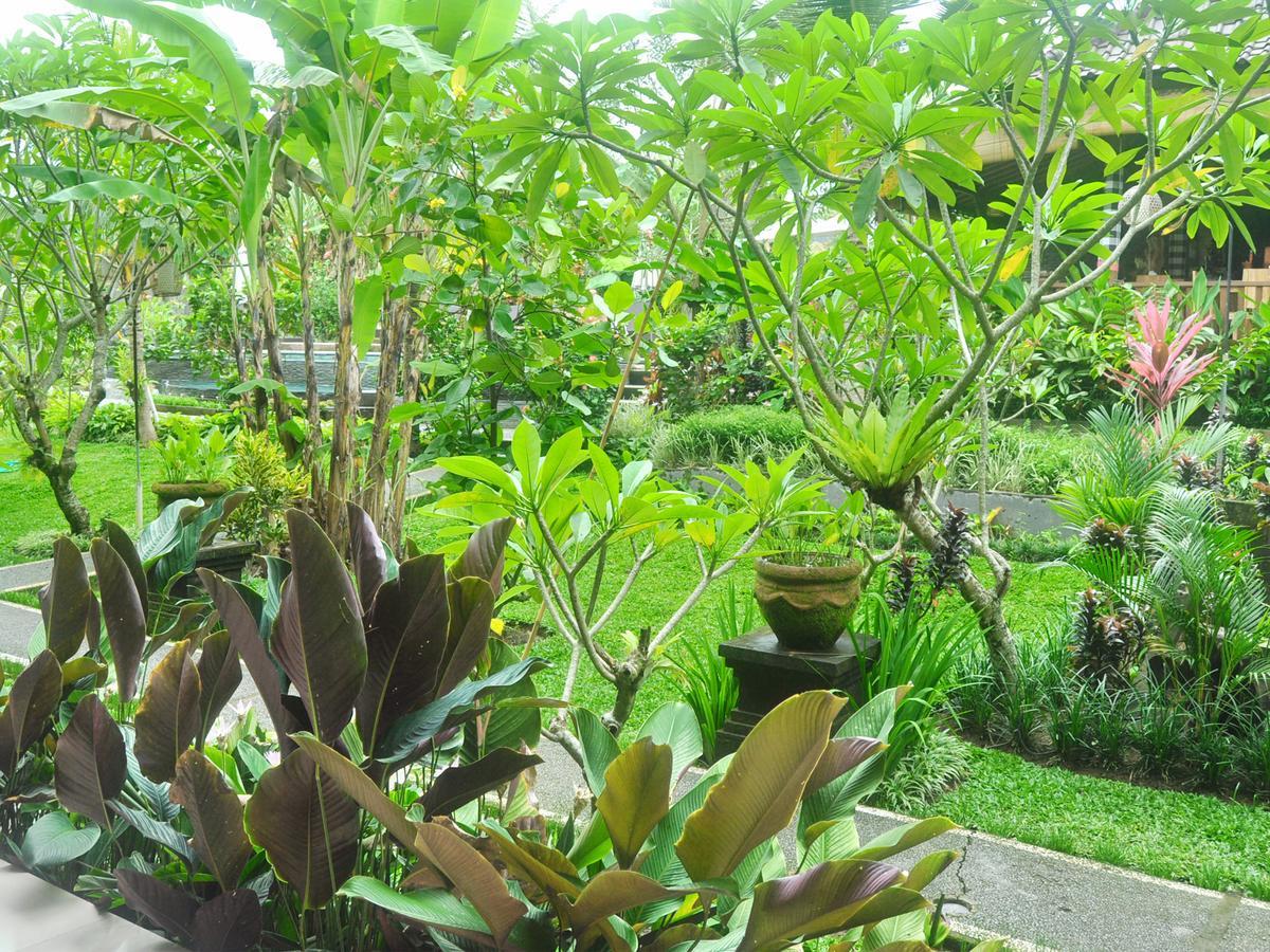 Bucu Homestay Ubud (Bali)